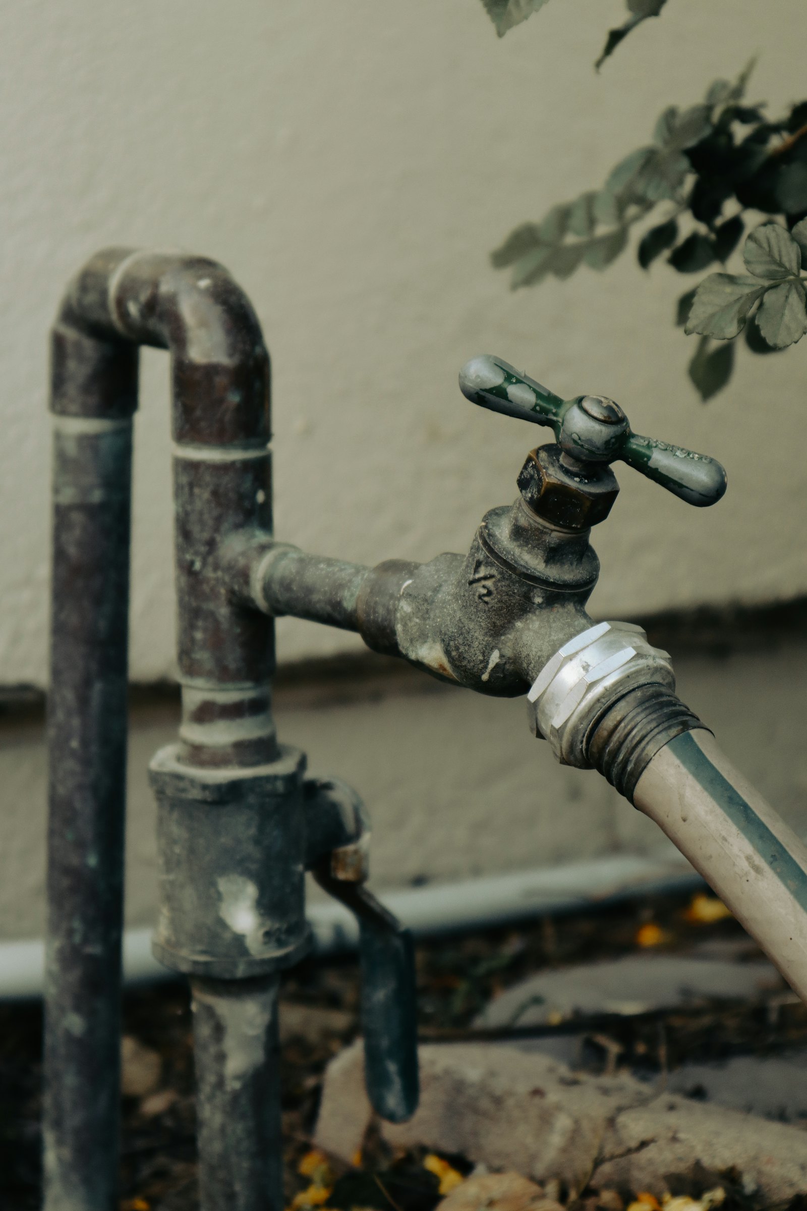 Big Rooter Inc — plumber in New York, NY