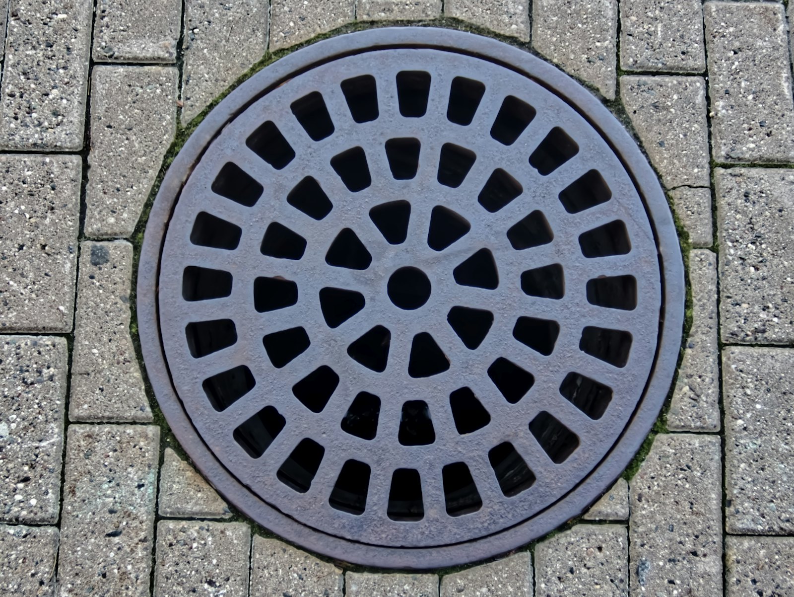 Campbell Plumbing Inc — plumber in Islip, NY